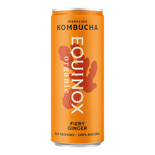 Equinox Fiery Ginger Organic Kombucha 250ml   12