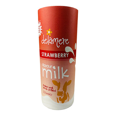 Delamere Dairy Strawberry Flavoured Milk Cartocan 235ml   12