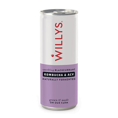 Willy's Blackcurrant Kombucha with ACV 250ml   12